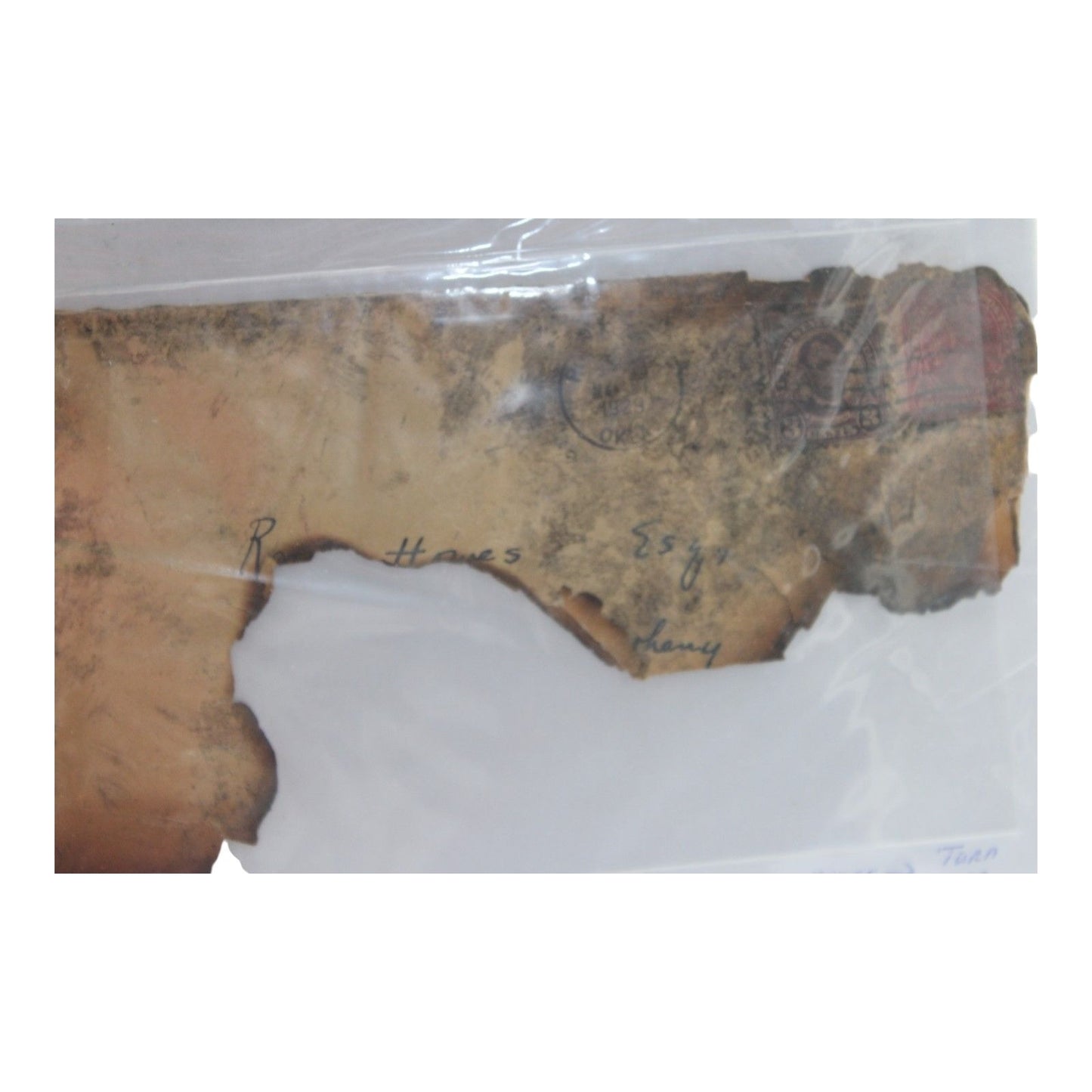 Ancient text tablet under a clear plastic cover on a white background