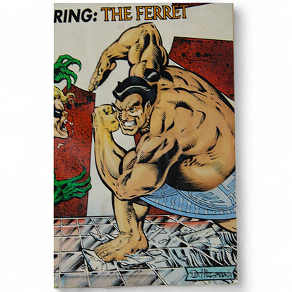 Street Fighter Featuring The Ferret Comic Book 3 Malibu 1993