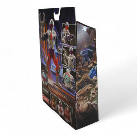 Side angle of New Eternia Roboto packaging
