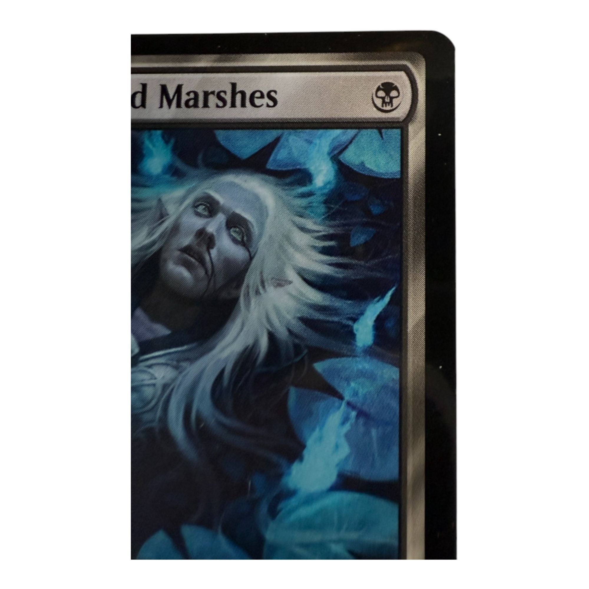 Magic The Gathering Haunt Of The Dead Marshes Card