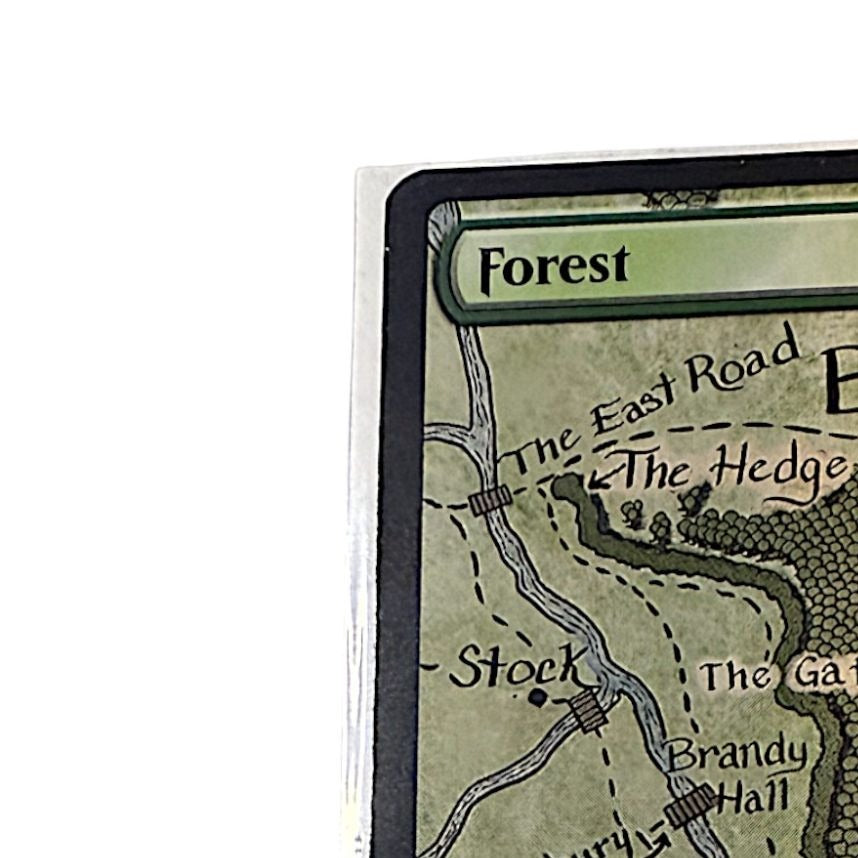 Close-up of the Forest card with map details of Buckland and The Old Forest