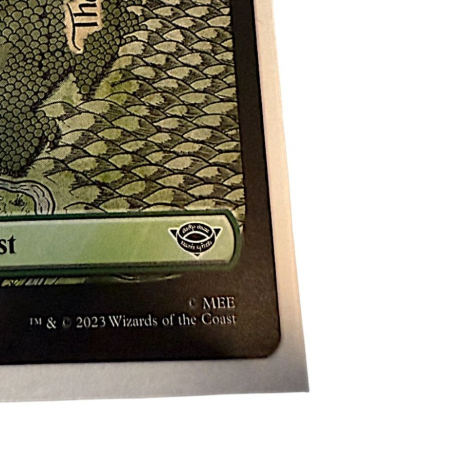 Magic: The Gathering Forest Card featuring a map of Middle Earth by Deven Rue
