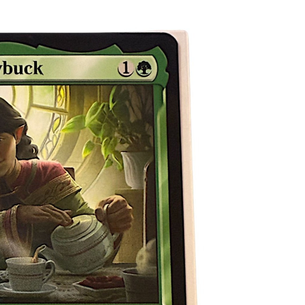 Detailed view of the card's top section showing the name and mana cost.