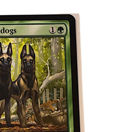 Close-up of the Mushroom Watchdogs card showing creature type and abilities.