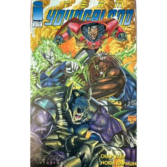 A mint condition Image Comics Team Youngblood issue 1 cover featuring the full roster (Badrock, Shaft, Chapel, Vogue, Sentinel) by Chap Yaep and Norm Rapmund.
