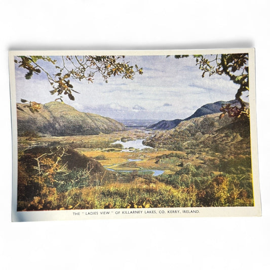 Vintage Irish Postcard "Ladies View" Killarney Lakes Co. Kerry Ireland Natural Color By C.P. Grattan Street Dublin